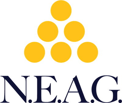 New England Appliance Group